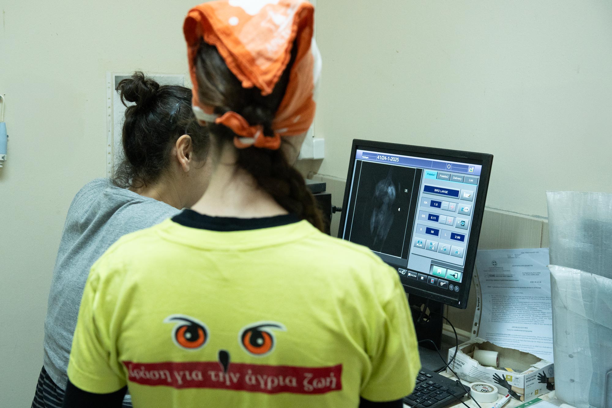 Θεσσαλονίκη: Πυροβόλησαν φοινικόπτερο, ασημόγλαρο, μπούφο και γερακίνες