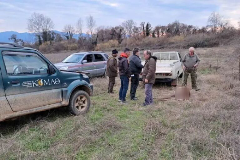 Κερκίνη Σερρών: Νεκρό ελάφι από σφαίρα λαθροθήρα