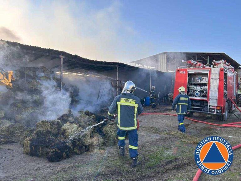 Πυροσβεστική και Πολιτική Προστασία αντιμετώπισαν άμεσα φωτιά σε κτηνοτροφική μονάδα στην Φλώρινα