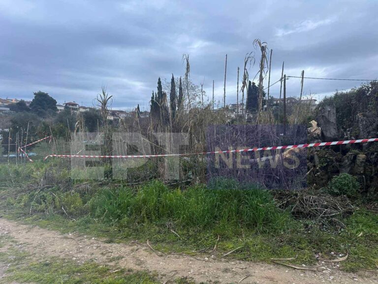 Ηλεία: Νεκρός 27χρονος υλοτόμος – Καταπλακώθηκε από δέντρο