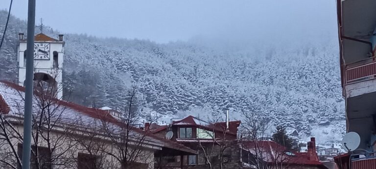 Κλειστό το Δημοτικό και Νηπιαγωγείο στην Αιγάνη του Δήμου Τεμπών λόγω χιονοπτώσεων