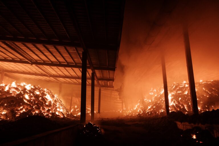 Νότια Κορέα: Στους 24 οι νεκροί από τις χειρότερες δασικές πυρκαγιές που έχουν καταγραφεί στη χώρα