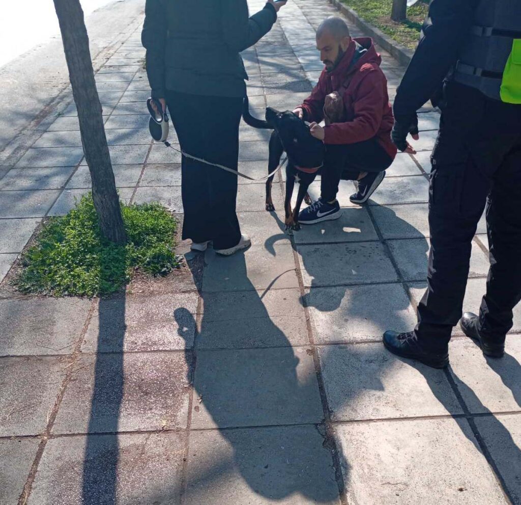Θεσσαλονίκη: Έλεγχοι σε δεσποζόμενα ζώα συντροφιάς