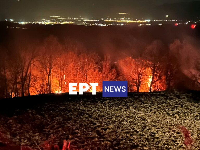 Σε ύφεση τα πέντε από τα επτά ενεργά μέτωπα στην Π.Ε. Καστοριάς (βίντεο)