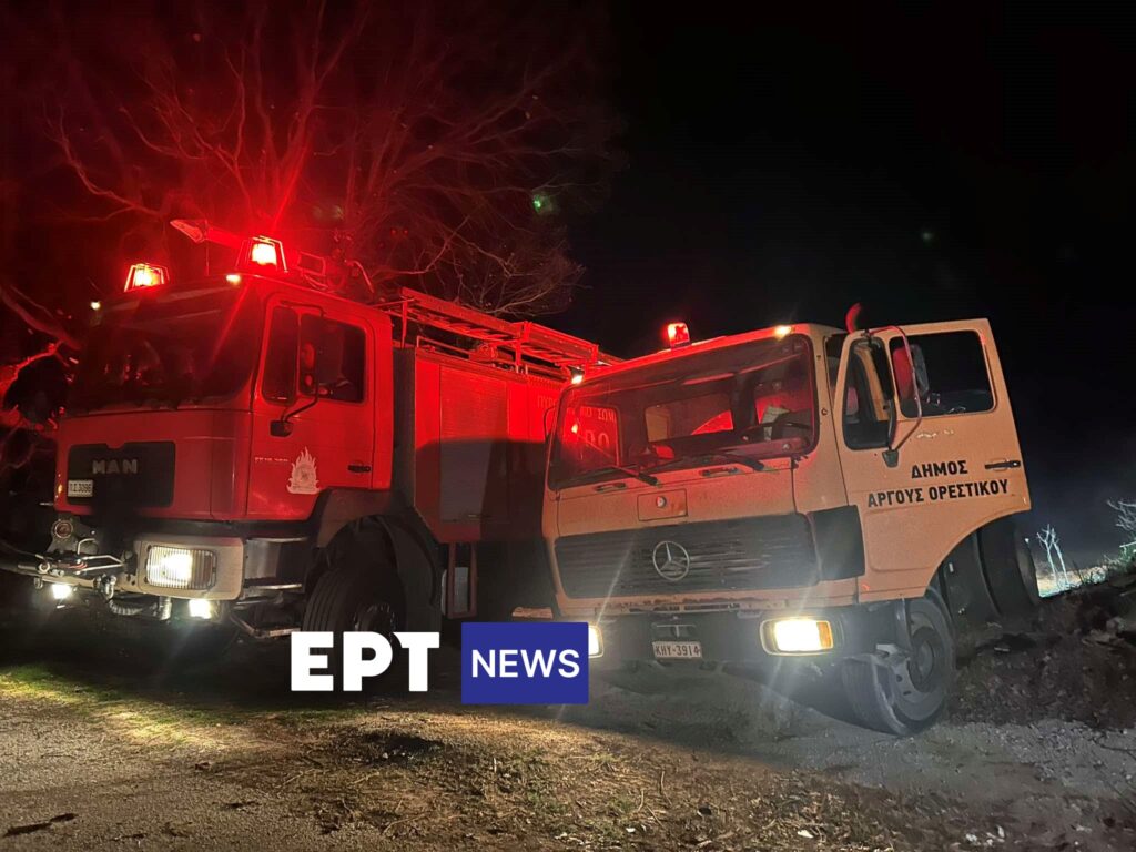 Μάχη με τις φλόγες στην Καστοριά – Εφτά τα ενεργά μέτωπα (βίντεο)