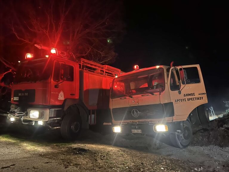 Έσβησε η φωτιά στην Καστοριά – Μάχη των πυροσβεστών σε 7 μέτωπα