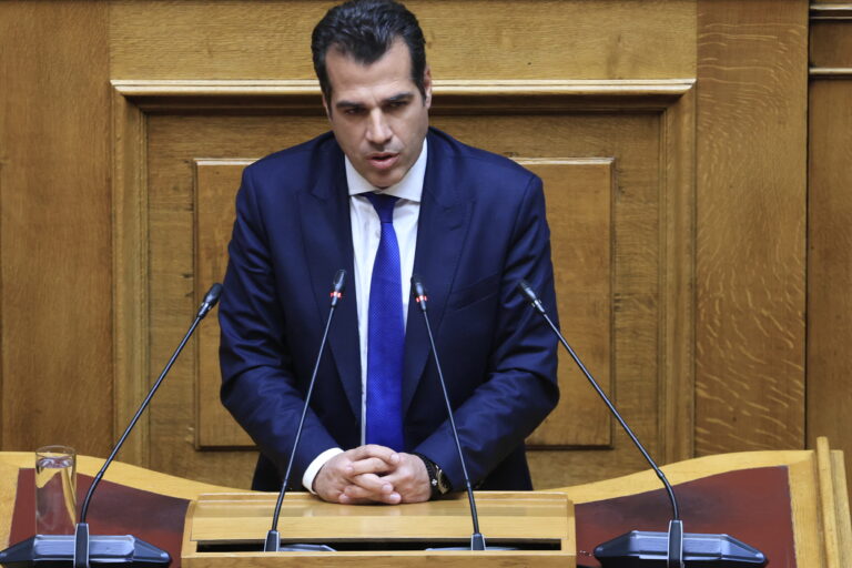 Θ. Πλεύρης: Η αντιπολίτευση θέλει να κάνετε σόου μέσα από την προανακριτική Τριαντόπουλου, όχι διαλεύκανση