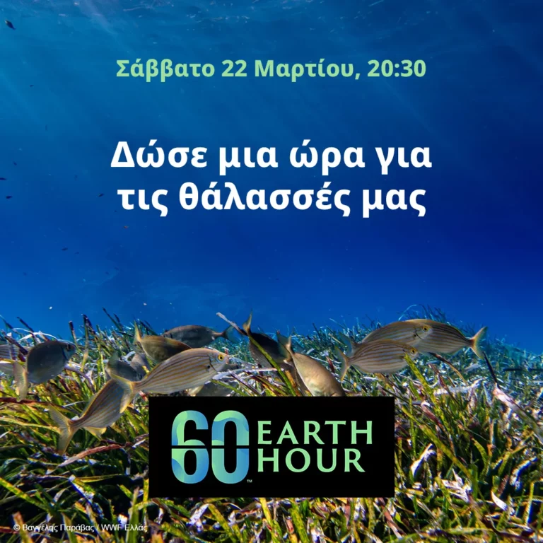 Ο Δήμος Θεσσαλονίκης συμμετέχει στην “Ώρα της Γης”