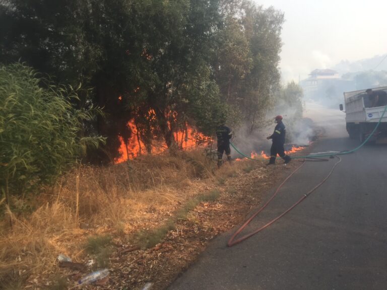 Μεσσηνία: Απαγόρευση καύσης υπολειμμάτων καλλιεργειών στην ύπαιθρο για 8 μέρες