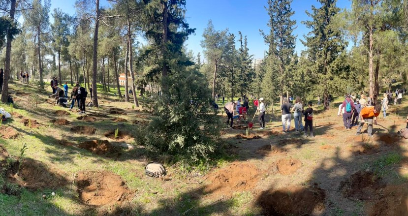 Θεσσαλονίκη: 1.500 νέα δέντρα φυτεύτηκαν στο περιαστικό δάσος της Τούμπας