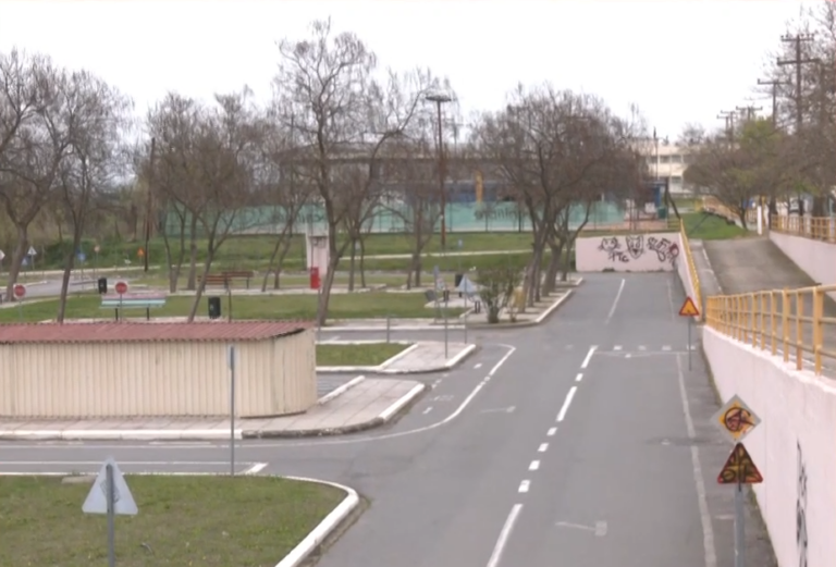 Θεσσαλονίκη: Λύκοι έκαναν την εμφάνισή τους στα Κουφάλια