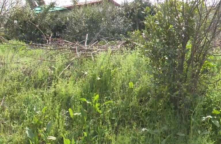 Yποχρεωτικός ο καθαρισμός οικοπέδων από 1 Απριλίου – Οι διαδικασίες και τα πρόστιμα για τους παραβάτες