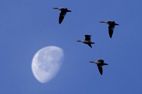 Ουκρανία: Τρεις νεκρές, συμπεριλαμβανομένης έφηβης, στα πλήγματα της Ρωσίας