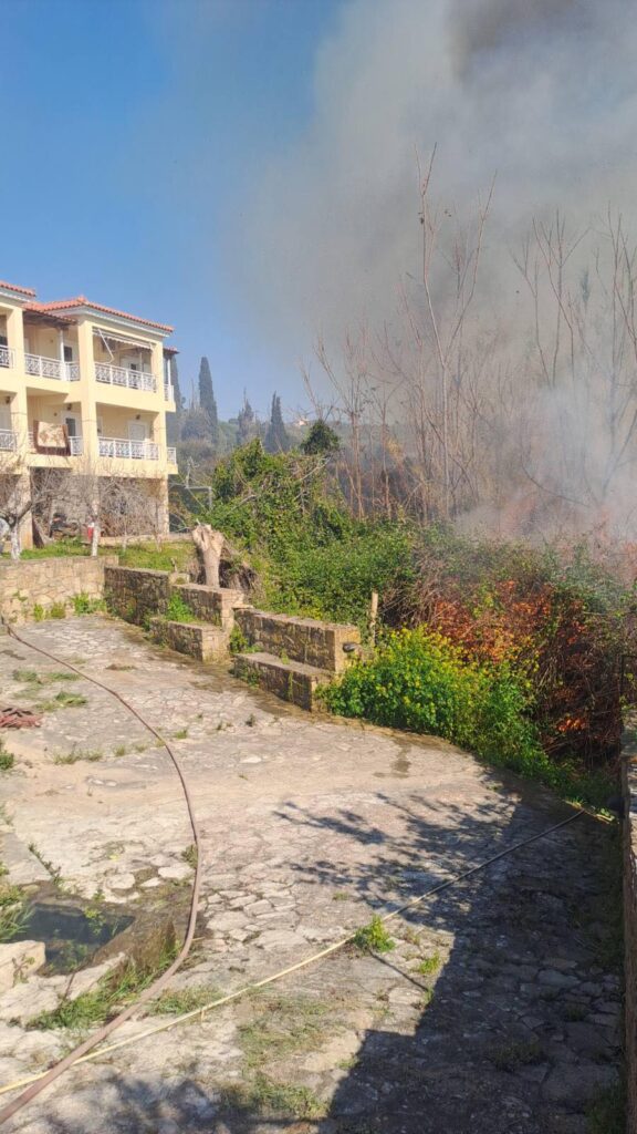 Μεσσηνία: Φωτιά απείλησε σπίτια στη Λαχανάδα (βίντεο)