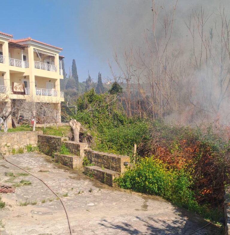 Μεσσηνία: Φωτιά απείλησε σπίτια στη Λαχανάδα (βίντεο)