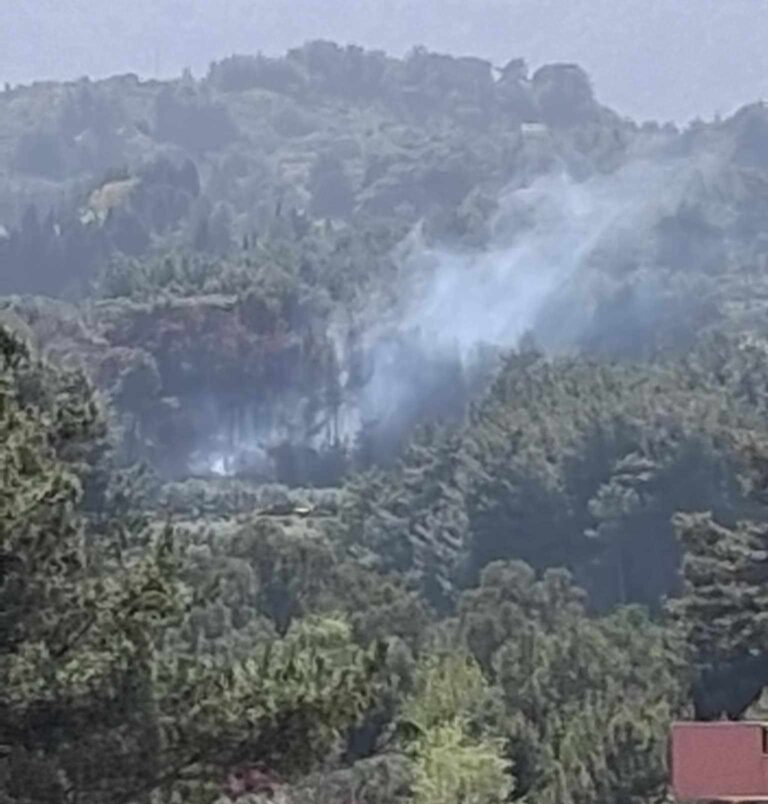 Σάμος: Οριοθετήθηκε η φωτιά στην περιοχή Λέκκα