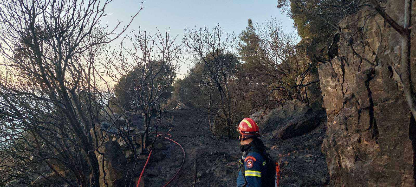 Σάμος: Υπό μερικό έλεγχο η πυρκαγιά στην περιοχή των Σπαθαραίων – Μία σύλληψη