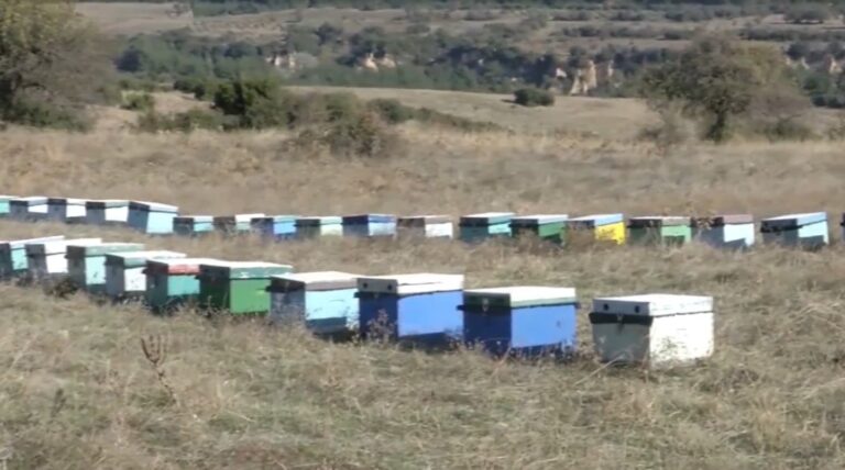 Διαμαρτυρία μελισσοκόμων για πρόστιμα που τους επέβαλε το Δασαρχείο Πολυγύρου