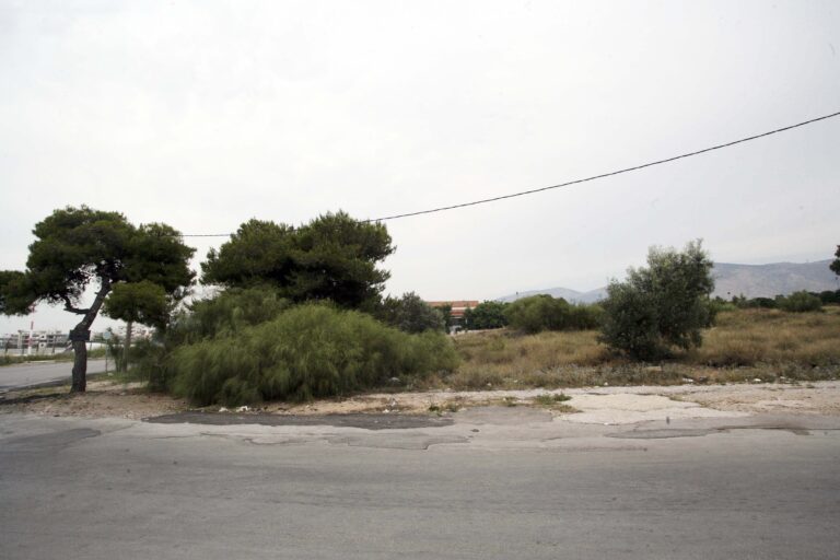 Υποχρεωτικός ο καθαρισμός των οικοπέδων λόγω της αντιπυρικής περιόδου – Ανοίγει την 1η Απριλίου η πλατφόρμα