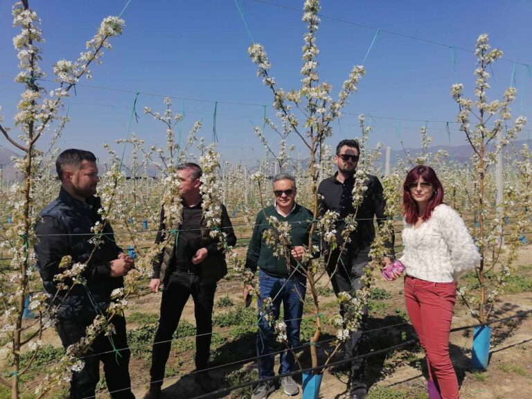 Πολύ σοβαρές ζημιές από τον παγετό έδειξε η πρώτη αυτοψία που έγινε από τον αντιπεριφερεάρχη Α’γενους Τομέα στο ν. Λάρισας