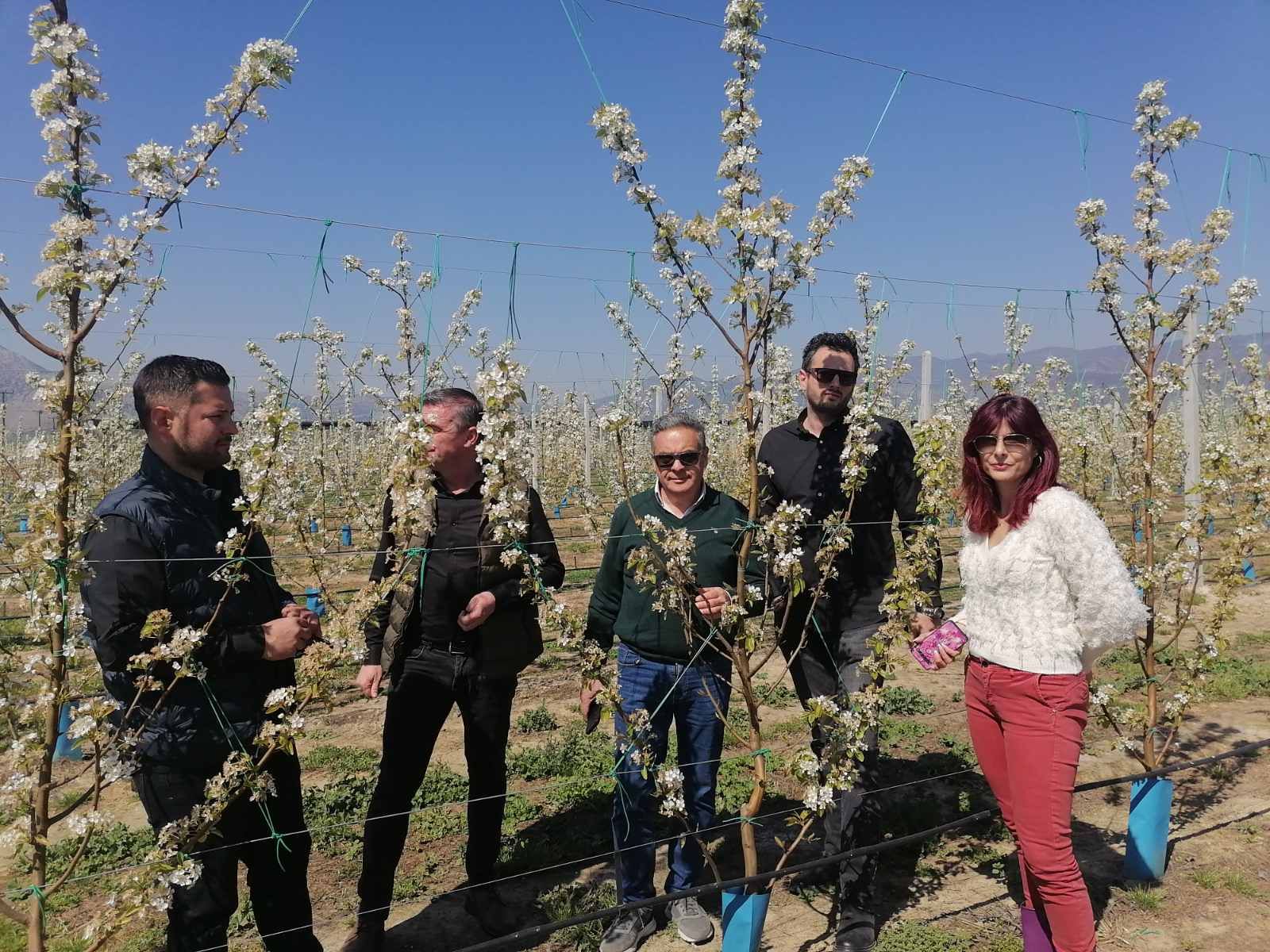Πολύ σοβαρές ζημιές από τον παγετό έδειξε η πρώτη αυτοψία που έγινε από τον αντιπεριφερεάρχη Α’γενους Τομέα στο ν. Λάρισας