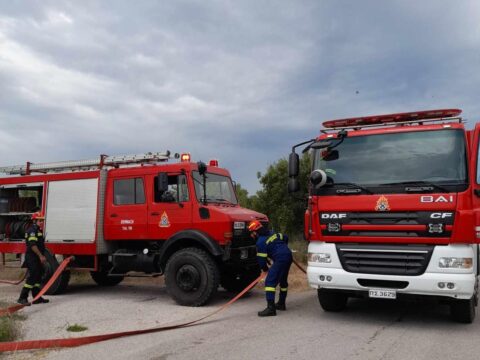 Μένουμε στο σπίτι <br/> και διαβάζουμε ένα καλό βιβλίο