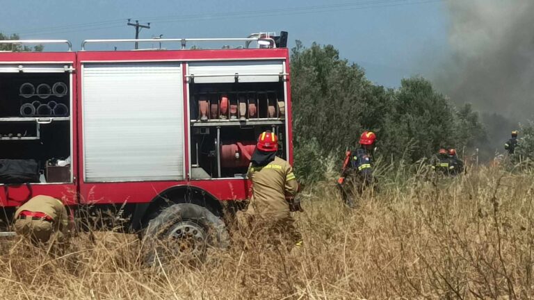 Συλλήψεις και πρόστιμα για πρόκληση πυρκαγιών σε Τανάγρα, Ωρωπό, Ηλεία, Κρήτη, Κέρκυρα Θεσπρωτία και Κω