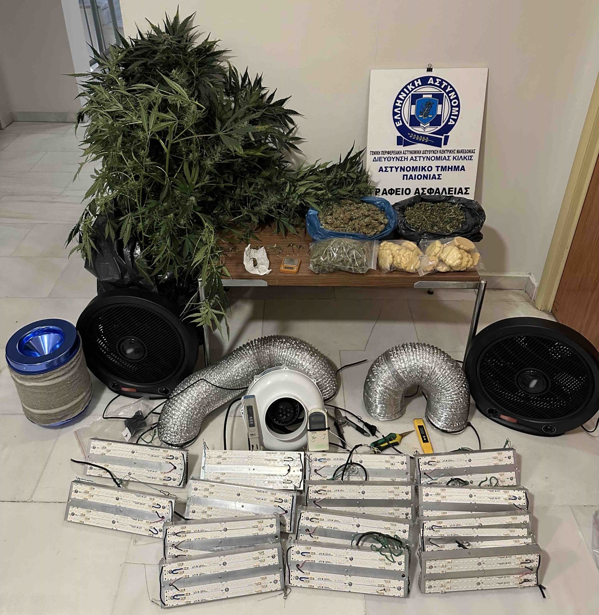 Καλλιεργούσε δενδρύλλια κάνναβης σε ειδικά διαμορφωμένο χώρο στο σπίτι- Μία σύλληψη