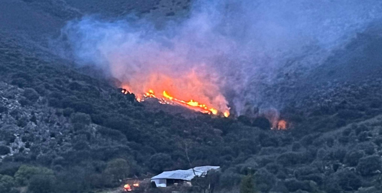 Φωτιά σε δασική έκταση στον Δήμο Σουλίου