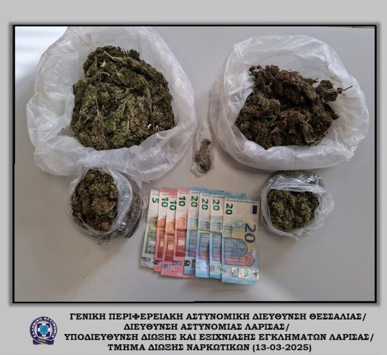 Συλλήψεις στη Θεσσαλία, σε αστυνομικές επιχειρήσεις
