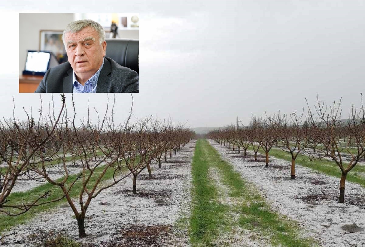 Δήμαρχος Κιλελέρ: “Το χαλάζι θα μειώσει κατακόρυφα την παραγωγή – Σε επαφή με τις αρμόδιες υπηρεσίες”