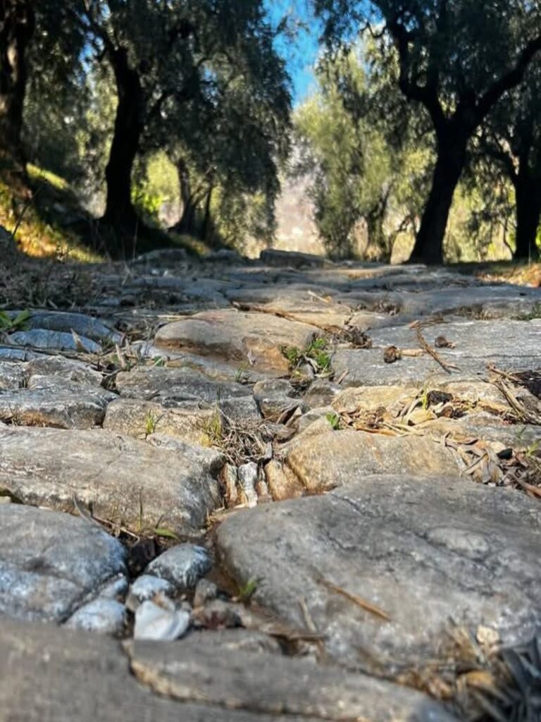 Η Τέχνη του Καλντεριμιού ζωντανεύει στη Δράκεια Πηλίου – Εργαστήρια, περίπατοι και τέχνη στο βουνό