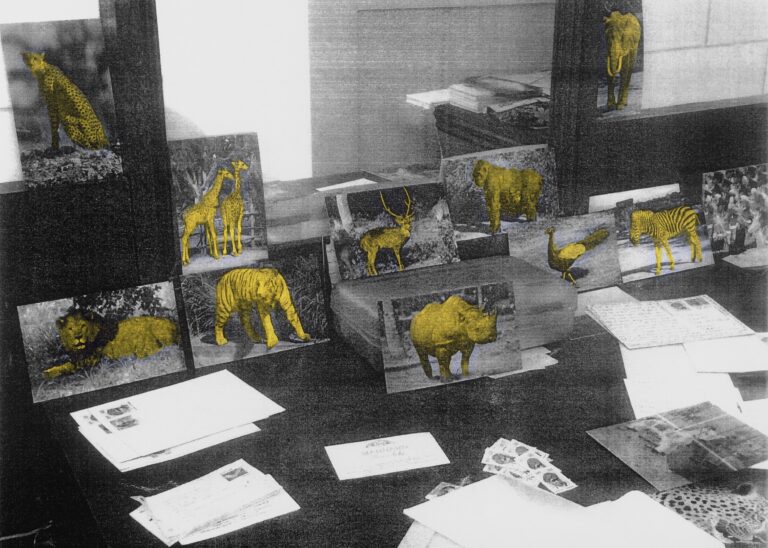“Why Look at Animals? Δικαιοσύνη για τη μη ανθρώπινη ζωή” | Ομαδική έκθεση στο ΕΜΣΤ από την Πέμπτη 15/5