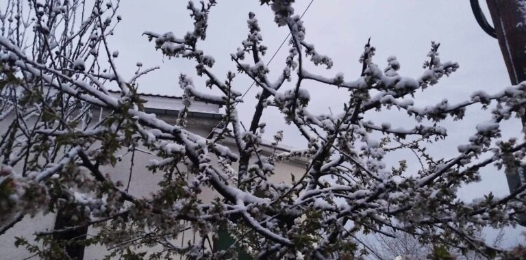 Γρεβενά: Το “έστρωσε” και στα χαμηλά