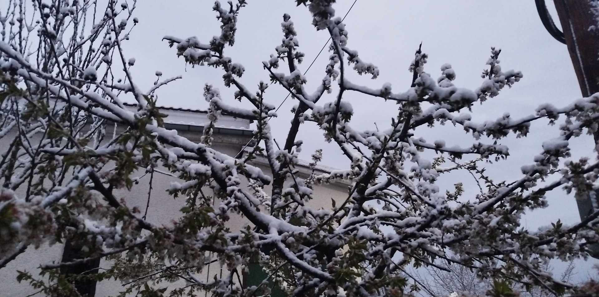 Γρεβενά: Το “έστρωσε” και στα χαμηλά