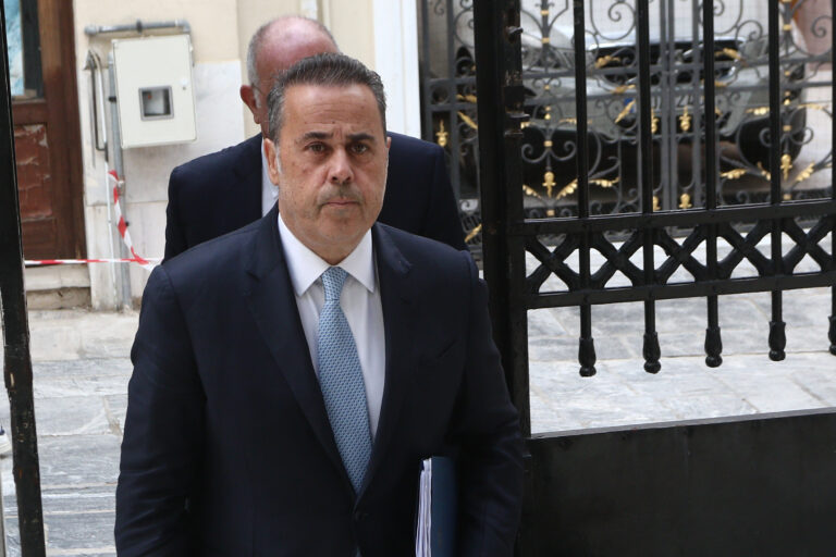 Σ. Παπασταύρου: Χρειάζεται ρεαλισμός και κοινωνική αποδοχή για τους κλιματικούς στόχους