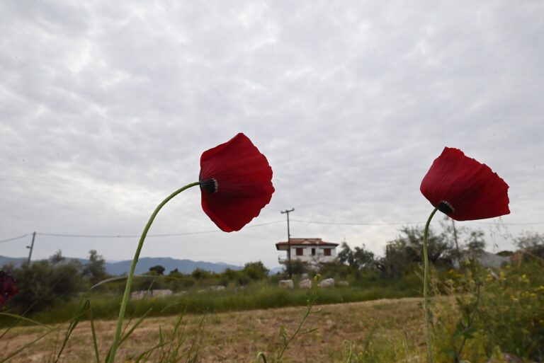 Καιρός: Πρόσκαιρες τοπικές βροχές και ενισχυμένοι νοτιάδες στο Ιόνιο – Πρόγνωση από την Α. Τυράσκη