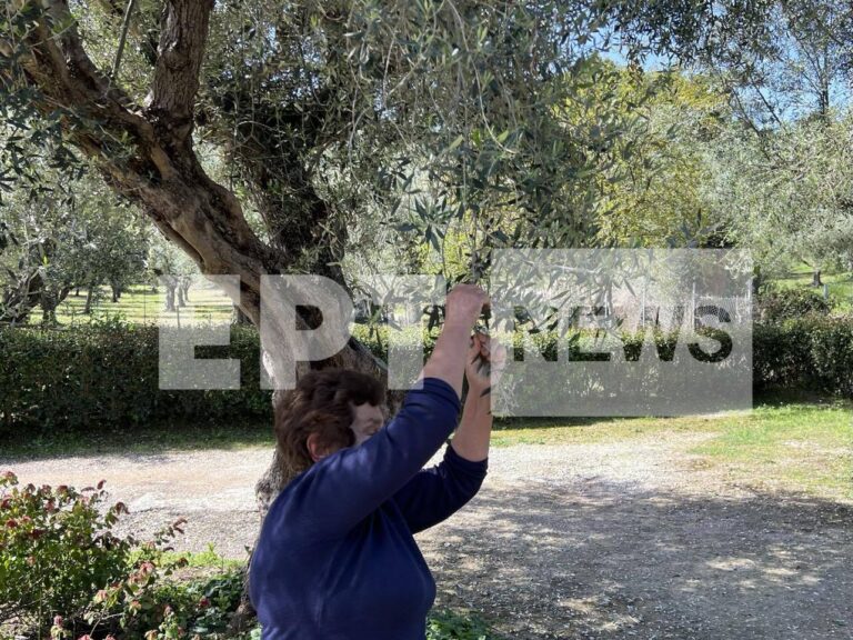Ζημιές από χαλάζι σε καλλιέργειες στο Βαρθολομιό