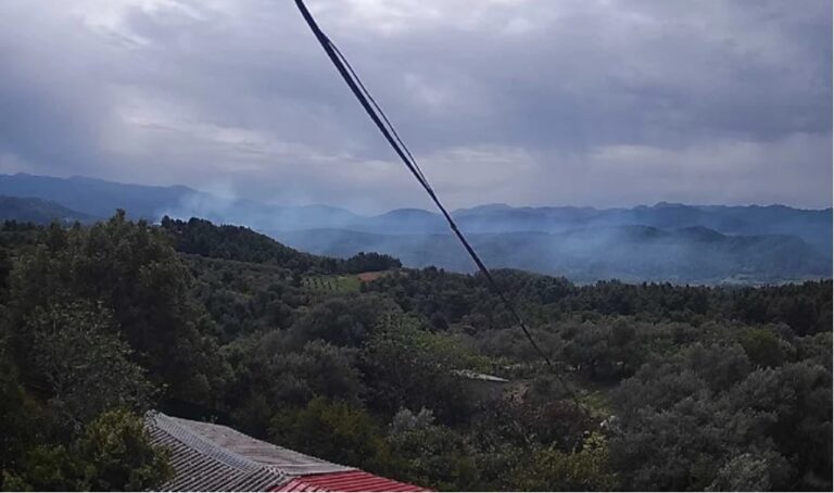 Πρόλαβαν πυρκαγιά σε δάσος στην περιοχή Υψηλόν της Ολυμπίας