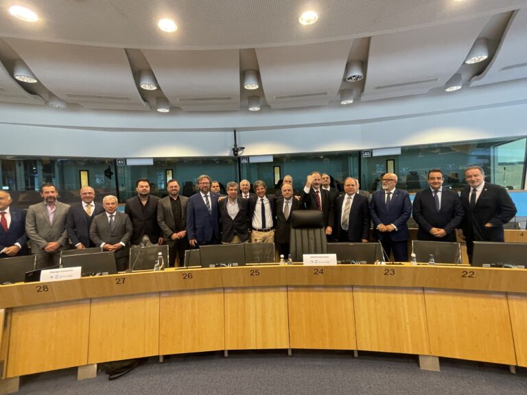 Στη γενική συνέλευση του Δικτύου Νησιωτικών Επιμελητηρίων Ευρωπαϊκής Ένωσης (INSULEUR) το Επιμελητήριο Μαγνησίας 