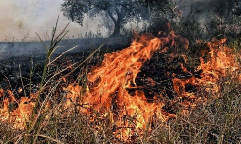 Σάμος – Πυροσβεστική: Πάρτε μέτρα πριν πραγματοποιήσετε καύσεις