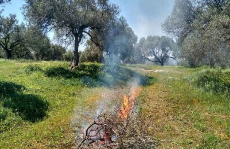 Πρόστιμο σε 75χρονο για μη τήρηση μέτρων πυρασφάλειας