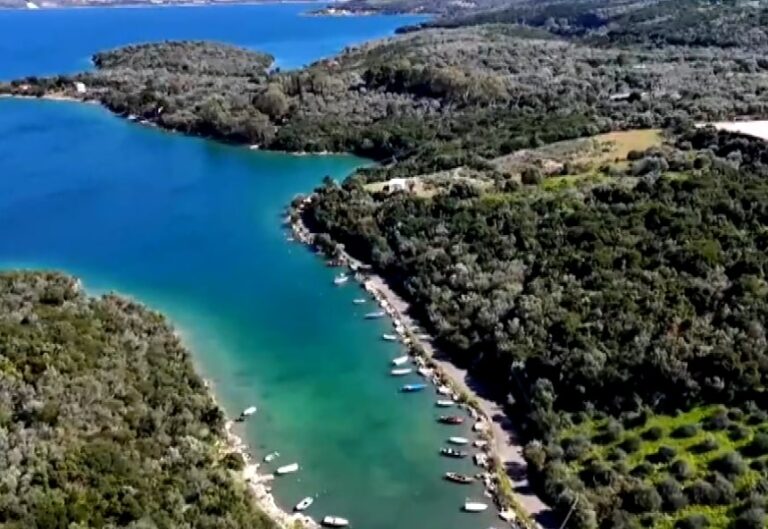 «Αμβρακικός-Ιστορίες ζωής»- Η σημασία της προστασίας ενός μοναδικού οικοσυστήματος