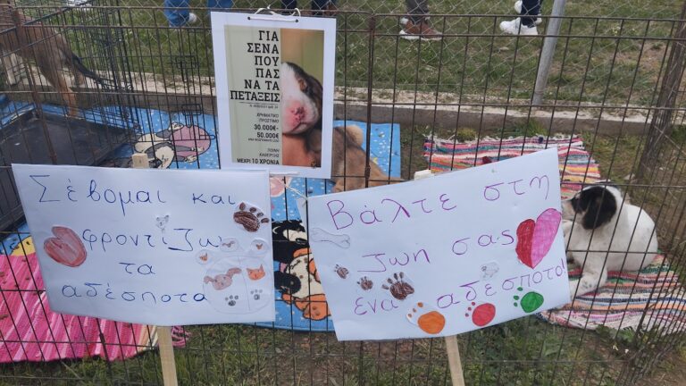 Αλεξανδρούπολη: Αδέσποτα του Δημοτικού Καταφυγίου και το σκύλο θεραπείας Νταίζη γνώρισαν μαθητές της πόλης