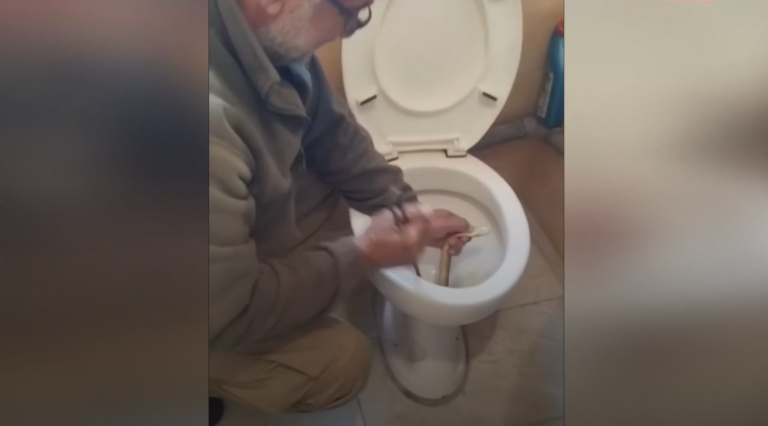 Βρήκαν φίδι σε τουαλέτα κτιρίου στο Άργος Ορεστικό