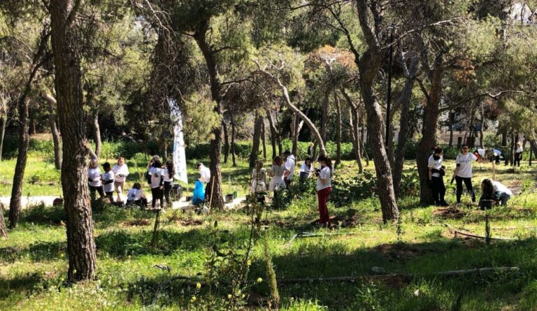 Δήμος Αθηναίων: Συνεχείς δενδροφυτεύσεις σε Λυκαβηττό και Στρέφη – Πάνω από 1.100 δέντρα