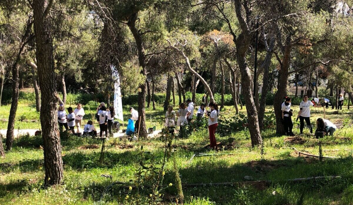 Δήμος Αθηναίων: Συνεχείς δενδροφυτεύσεις σε Λυκαβηττό και Στρέφη – Πάνω από 1.100 δέντρα