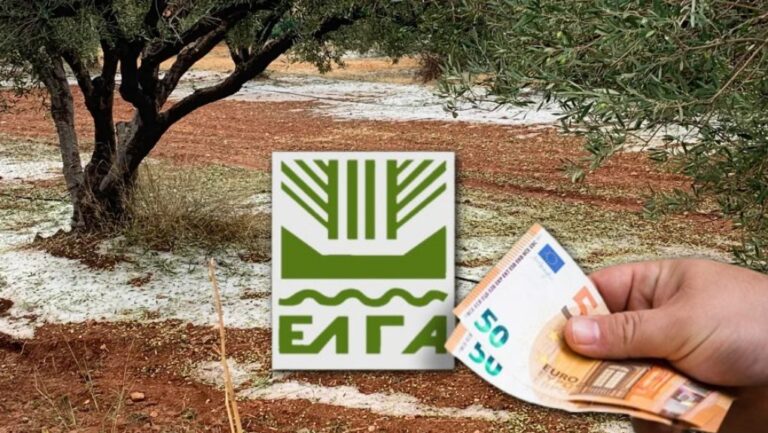 Θράκη: Πριν το Πάσχα οι αποζημιώσεις από τον παγετό του 2021