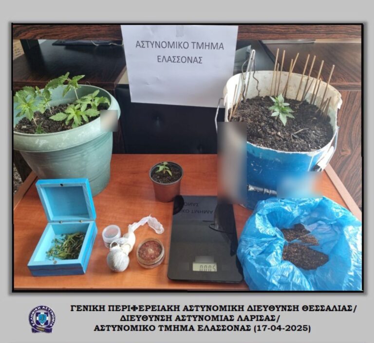 Ελασσόνα: Καλλιεργούσε κάνναβη σε γλάστρες