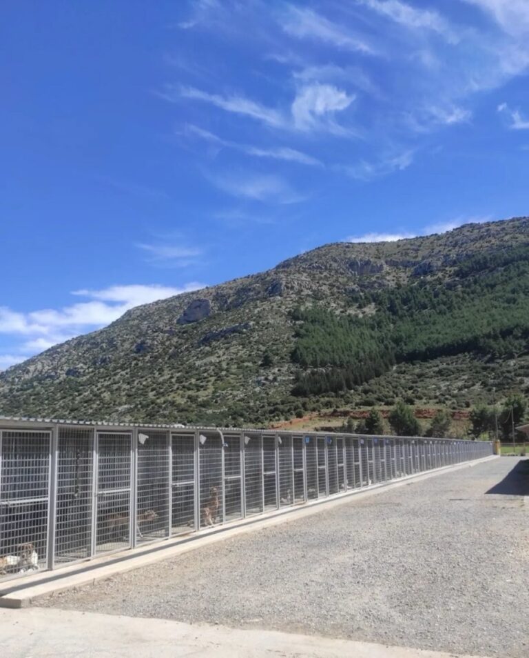 Τρίπολη: Ανοιχτό για το κοινό το δημοτικό καταφύγιο αδέσποτων ζώων